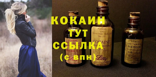 стафф Алзамай