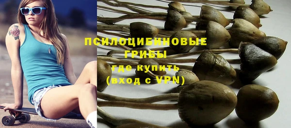 стафф Алзамай