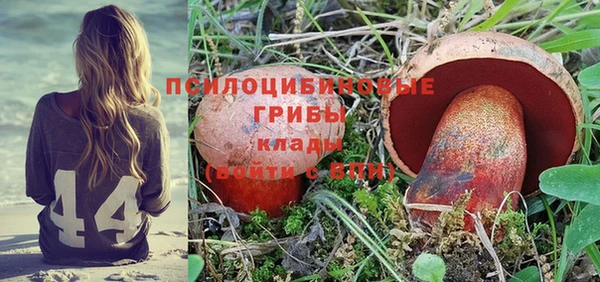 МДПВ Слюдянка