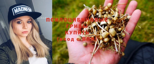 мяу мяу кристалл Арсеньев