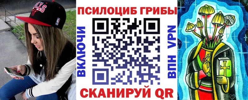 Псилоцибиновые грибы прущие грибы Аркадак